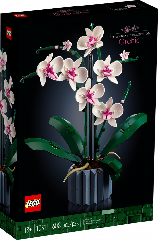 Orchids PNG Images