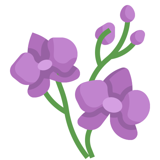 Orchids PNG Picture