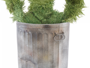 Oscar The Grouch PNG Image HD