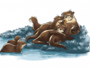 Otter Background PNG