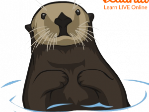 Otter PNG