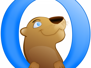 Otter PNG Cutout