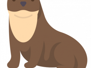 Otter PNG HD Image