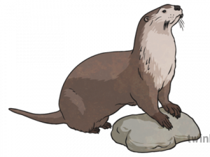 Otter PNG Image File