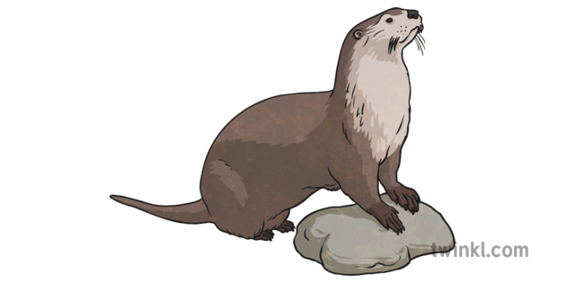 Otter PNG Image File