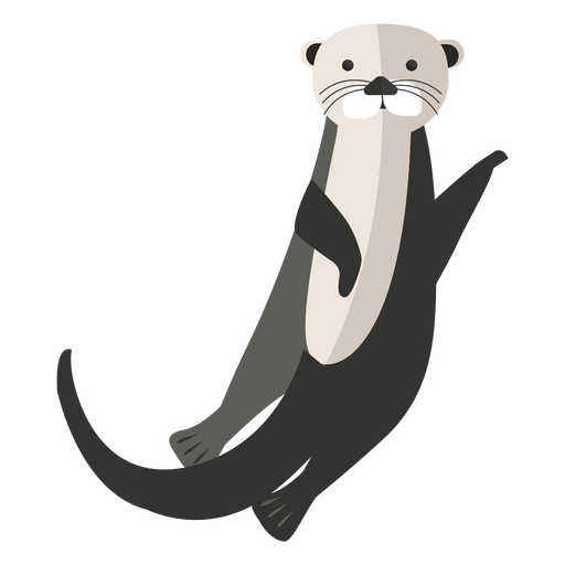 Otter PNG Images HD