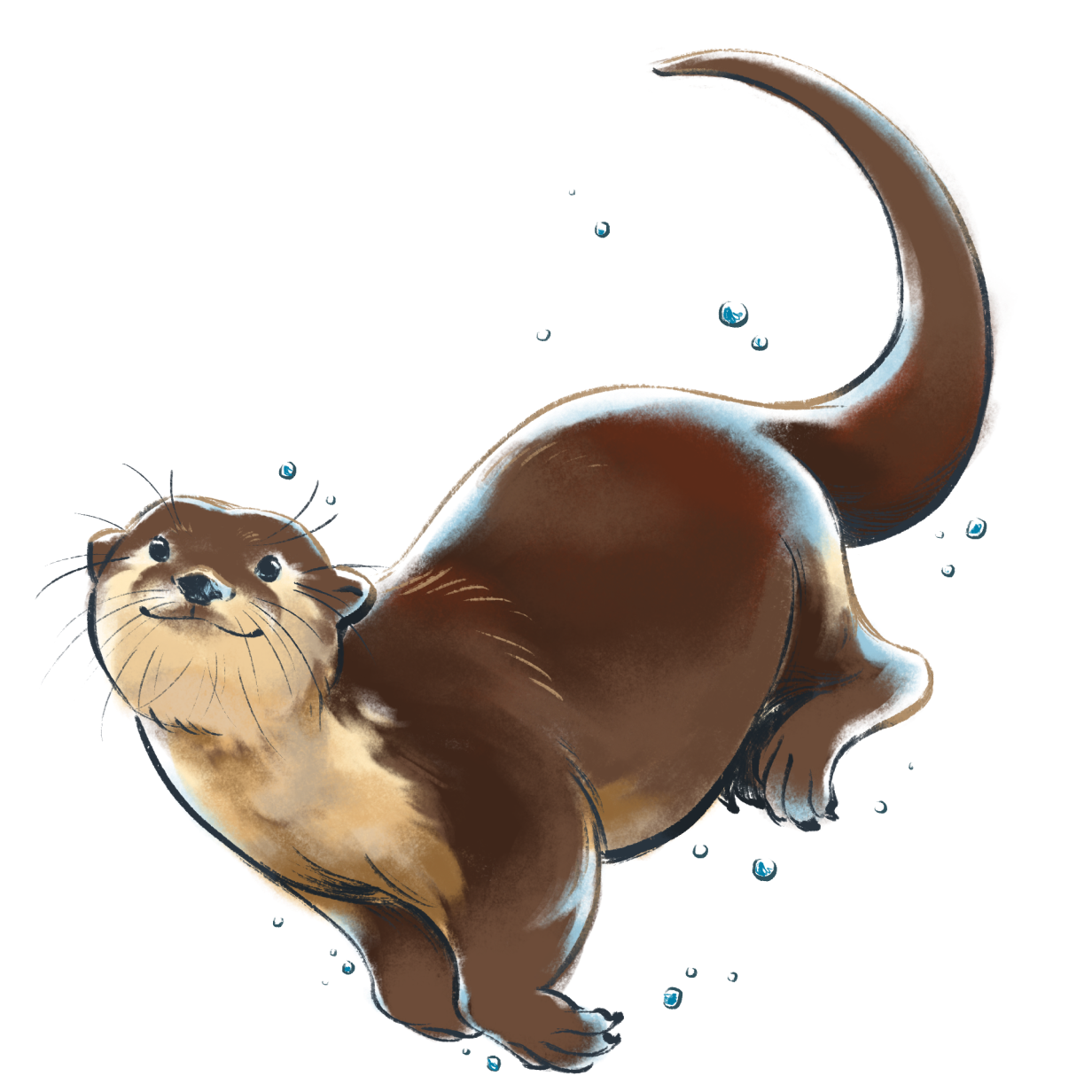 Otter Transparent