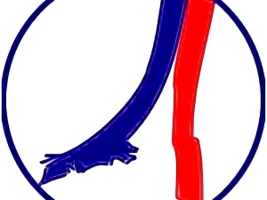 PSG Logo Transparent