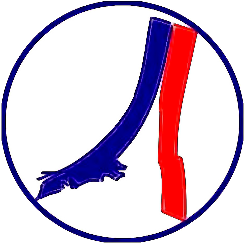 PSG Logo Transparent