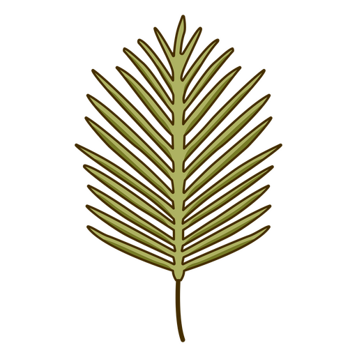 Palm Tree Leaf PNG Clipart