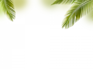 Palm Tree Leaf PNG File