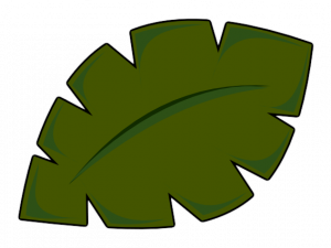 Palm Tree Leaf PNG HD Image