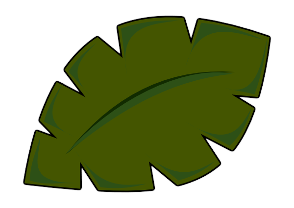 Palm Tree Leaf PNG HD Image