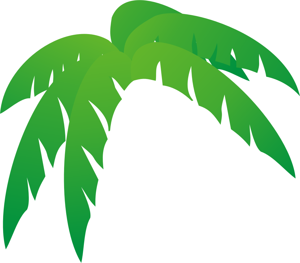 Palm Tree Leaf PNG Image HD