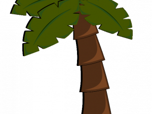 Palm Tree Leaf PNG Images