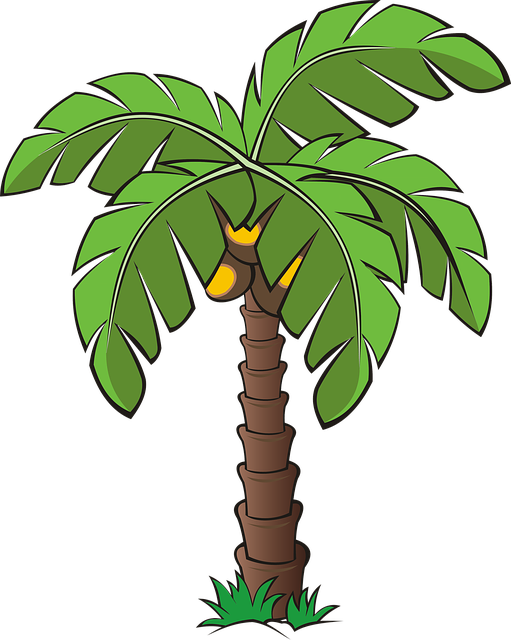 Palm Tree Leaf PNG Pic