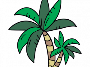 Palmera PNG Clipart