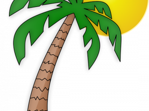 Palmera PNG File