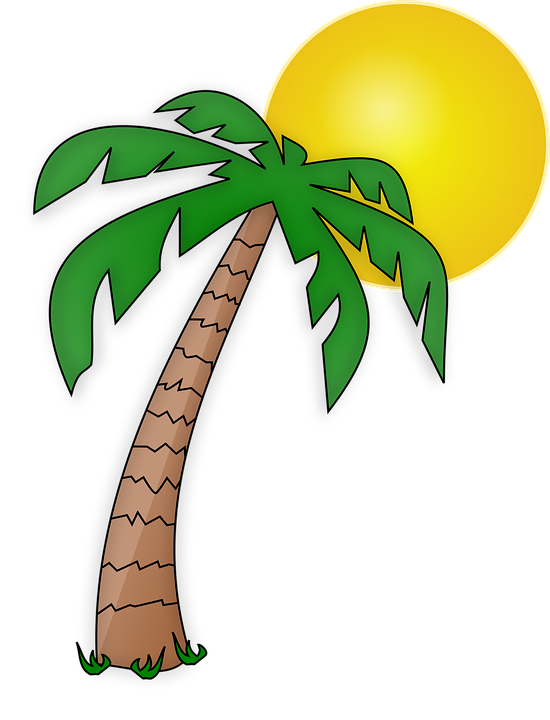 Palmera PNG File