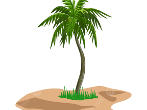 Palmera PNG Free Image