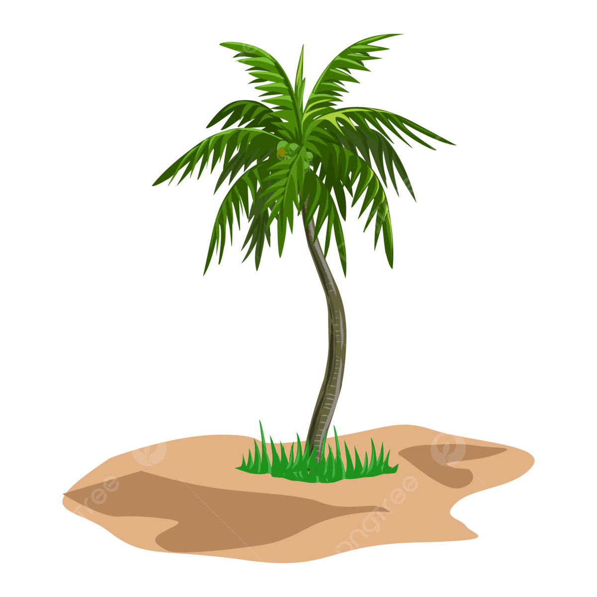 Palmera PNG Free Image