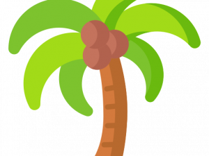 Palmera PNG Image