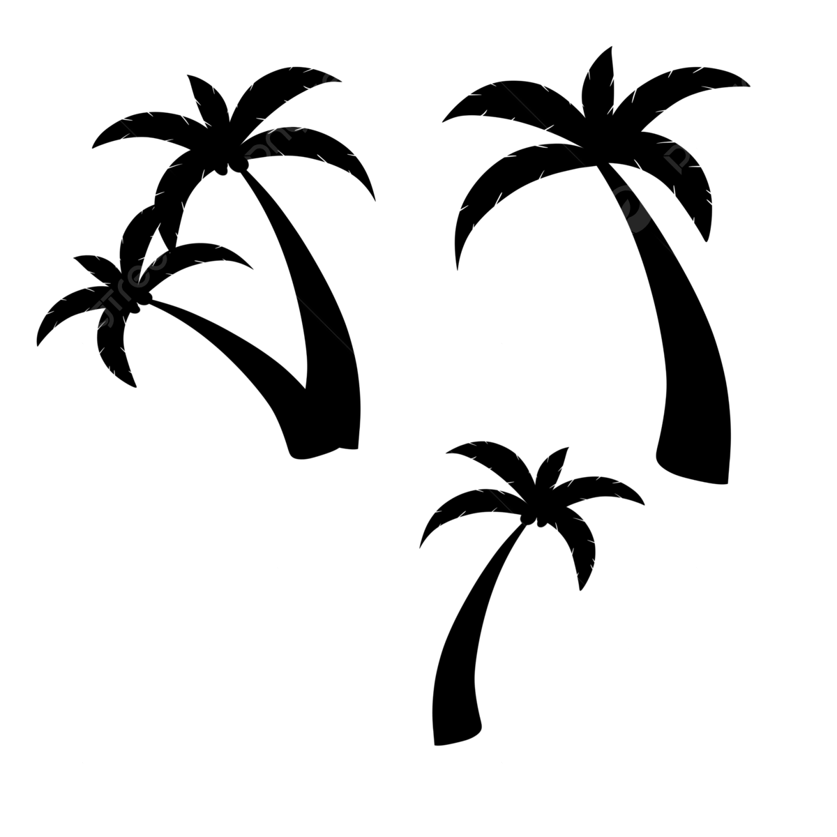 Palmera PNG Image File