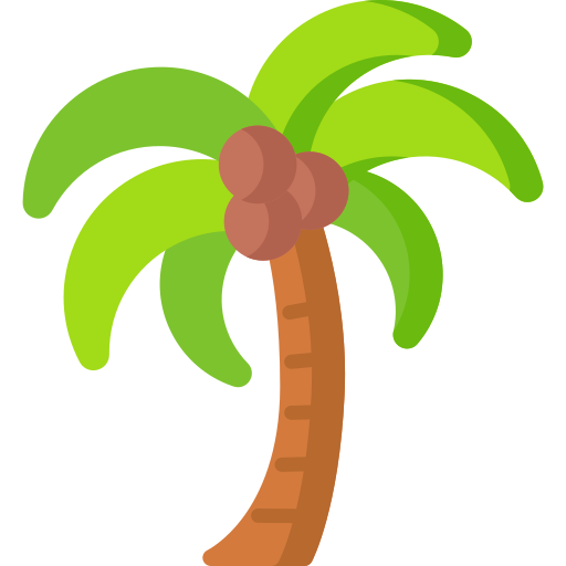 Palmera PNG Image