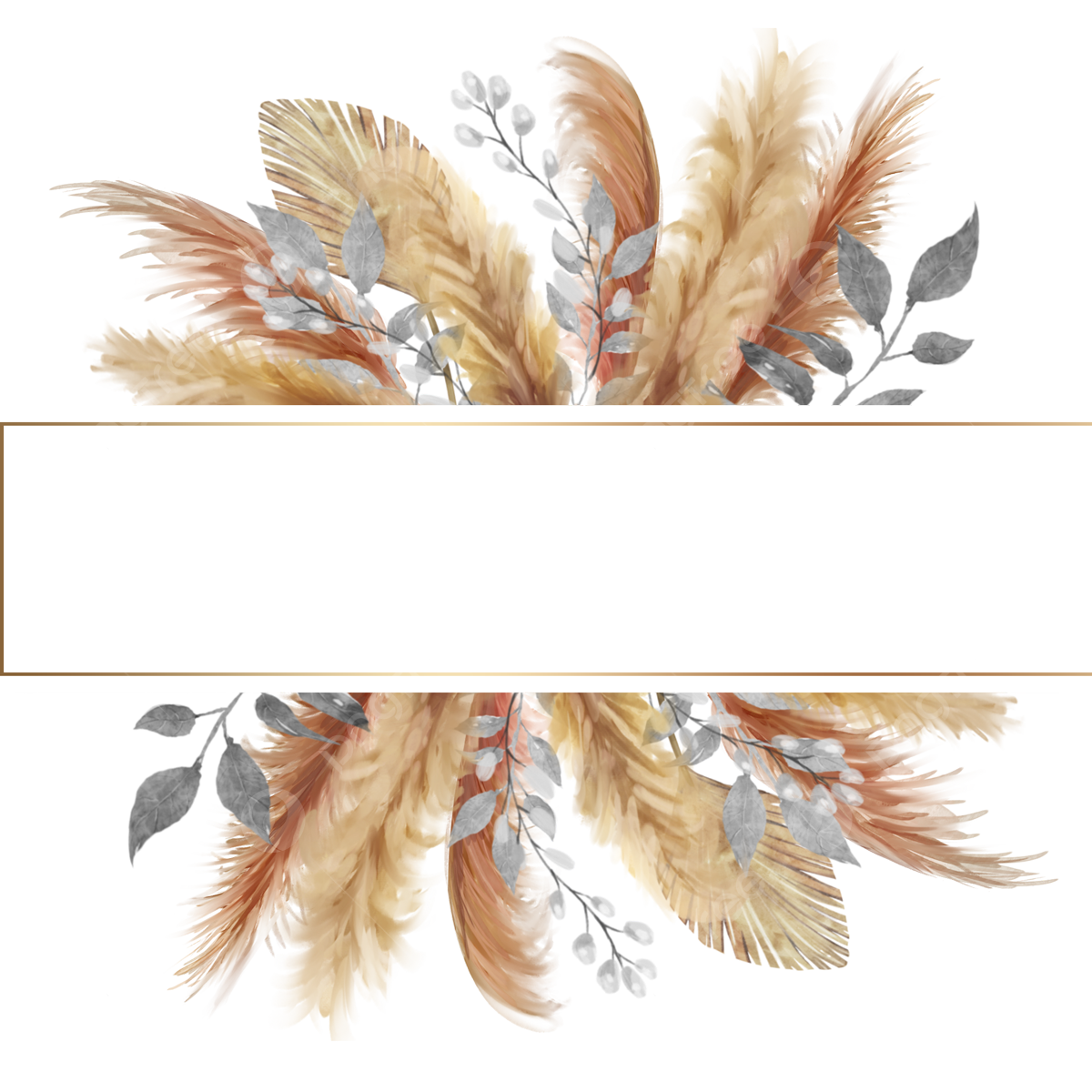 Pampas Grass PNG Transparent Images