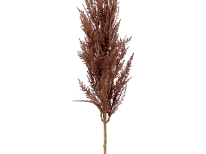 Pampas Grass PNG Image