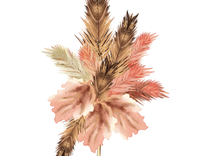 Pampas Grass PNG Image HD