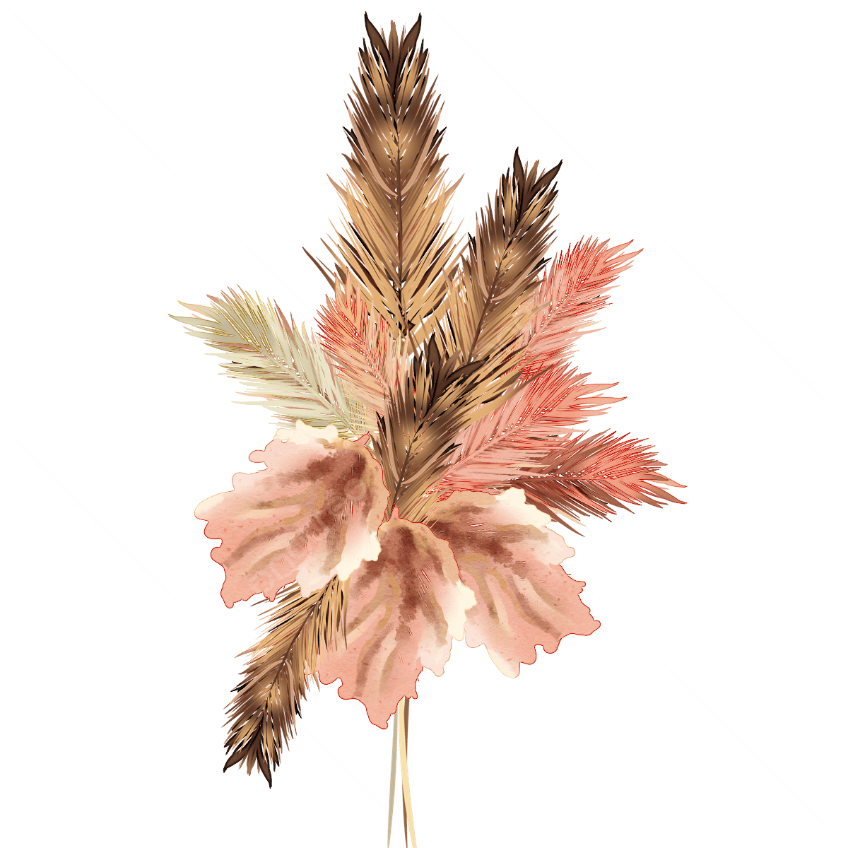 Pampas Grass PNG Image HD | PNG All