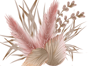 Pampas Grass PNG Images