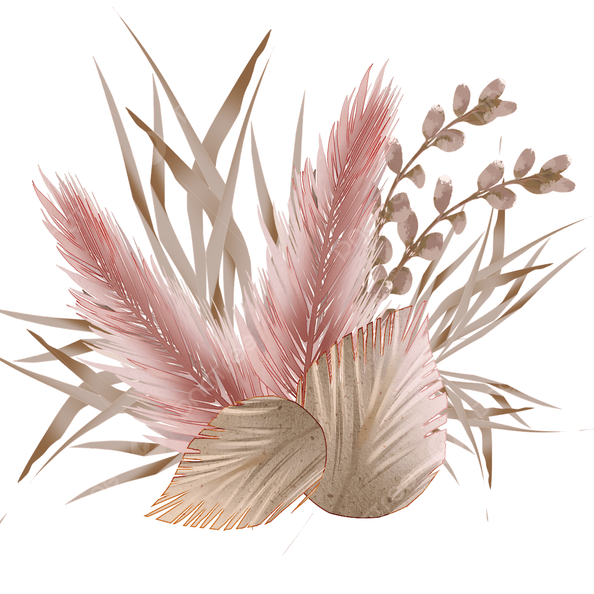 Pampas Grass PNG Images | PNG All