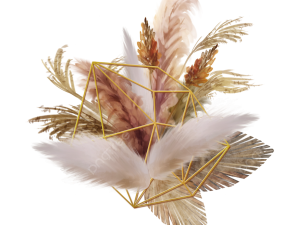 Pampas Grass PNG Picture