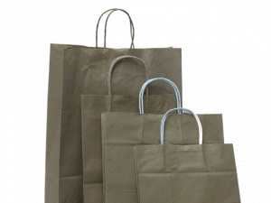 Paper Bag PNG