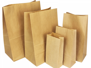 Paper Bag PNG Photo