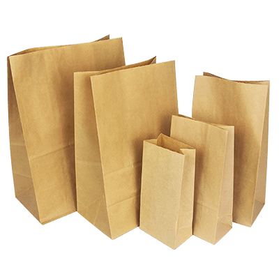 Paper Bag PNG Photo