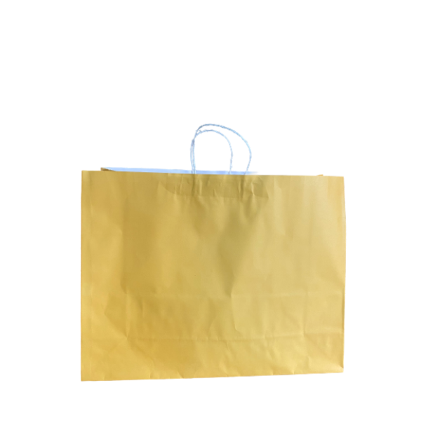 Paper Bag PNG Pic