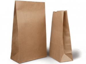 Paper Bag PNG Picture