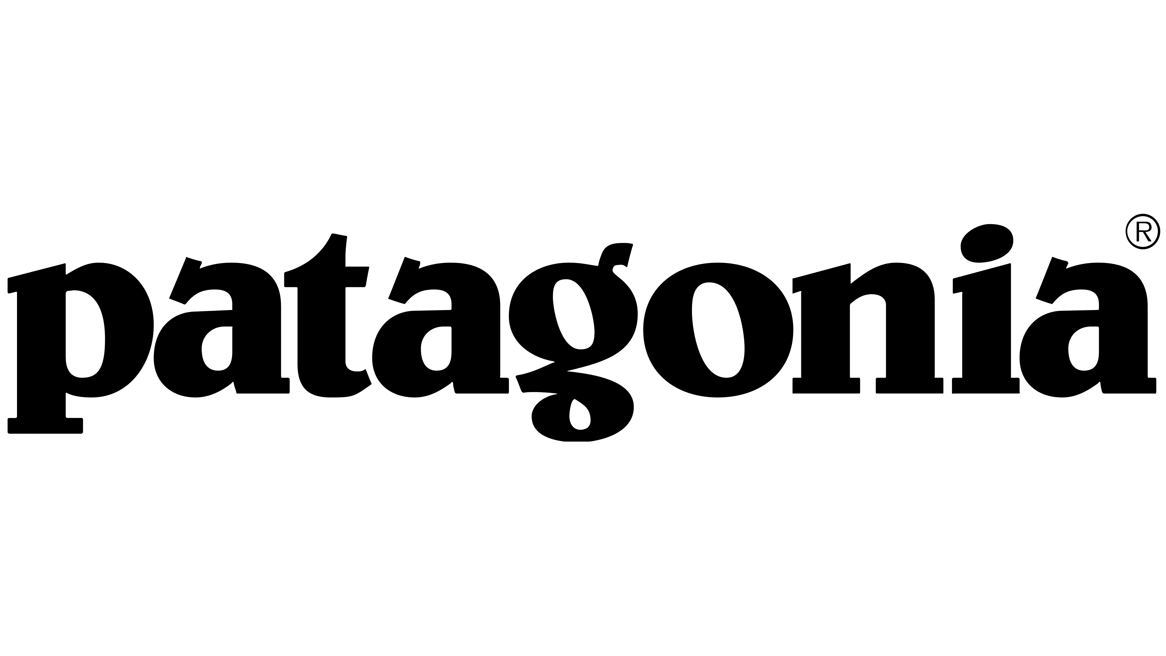 Patagonia Logo PNG HD Image