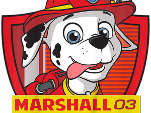 Paw Patrol Marshall PNG