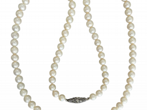 Pearl Necklace PNG