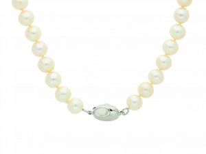 Pearl Necklace PNG HD Image