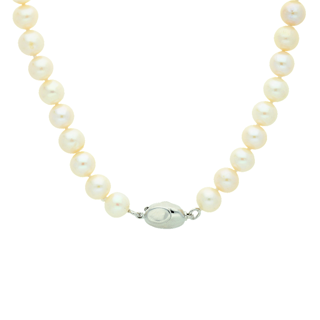 Pearl Necklace PNG HD Image