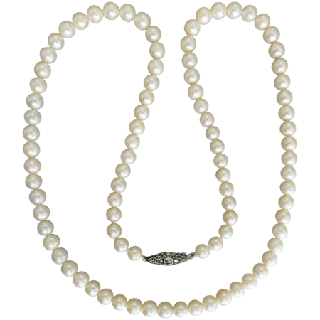 Pearl Necklace PNG