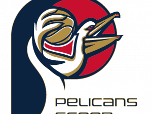 Pelicans Logo No Background