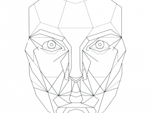 3D face model, geometric face design, digital art portrait, low-poly facial representation, Perfect Face PNG