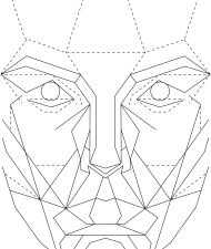 geometric face design, abstract line art, minimalistic portrait illustration, digital art style, Perfect Face PNG