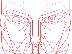 abstract face design, geometric facial illustration, digital art portrait, line art face drawing, Perfect Face PNG